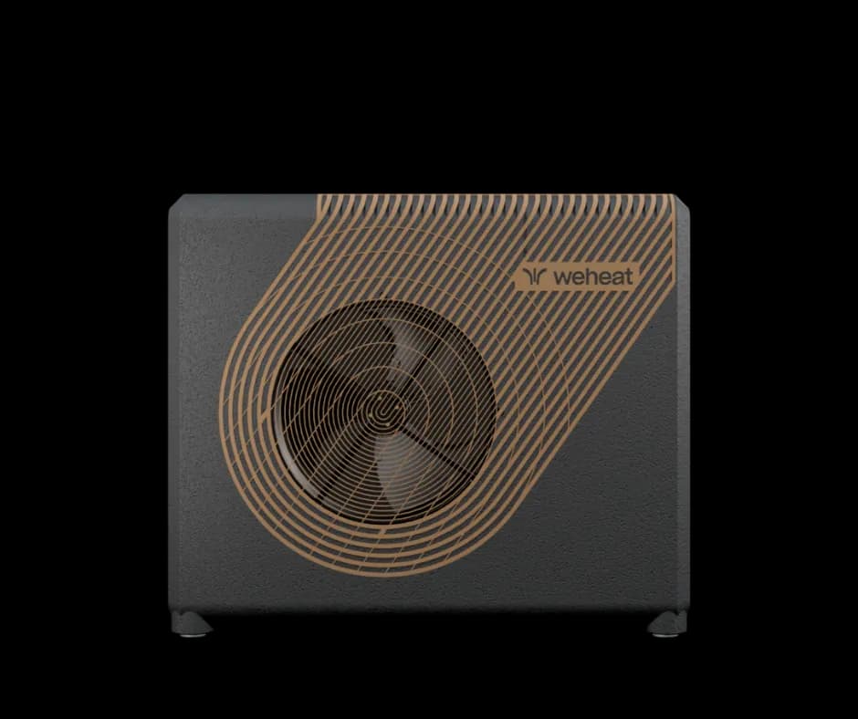 Weheat Sparrow